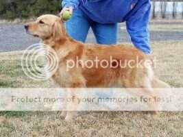 Timberline Petticoat Jumption