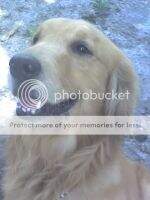 Bruce of Eastbank Road