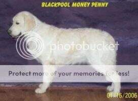 Blackpool Money Penny