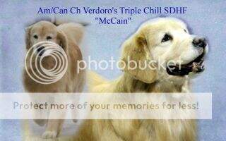 Verdoro's Triple Chill