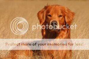 Whiskey River XXIV HR