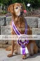 Lady Aspen Rose RA