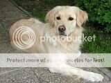 Cameron ter Rode Poort