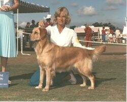 Camelot's Amador Skylark