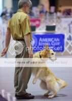 Gaylan's Lady Omar Khayyam UDX11 OGM VER RAE3 TD2 TDU MFS T2B3 CAX CCA RATS