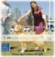 Darma Ajan's Dance All Night