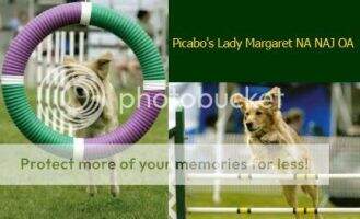 Picabo's Lady Margaret RN