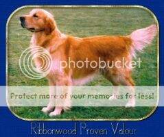 Ribbonwood Proven Valour Ribbonwood Proven Valour