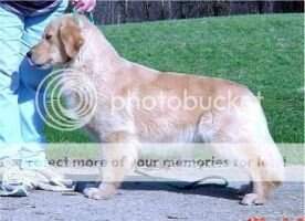 Apollo Buckeye Dolly Madison