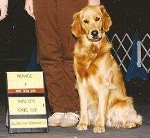 Fanfare's Farah of Dry Creek