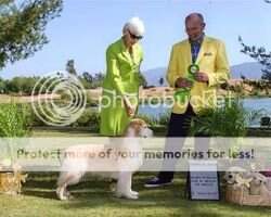 Westmont Sunbeam Garden Party
