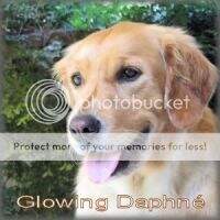 Glowing Daphne