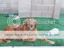 Casey Molly Staton Chandler