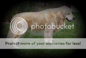 Indian Knoll's Sir Rusty