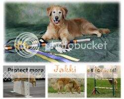 VCCH Jakki (SN76613606) CCA