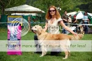BG Ch. CHARLOTTE FEKETE DOMINO