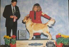 Dynasty's Commander And Chief