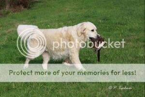 Highbend's Alleyway to Heaven