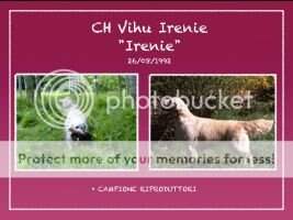 Rip Ch Vihu Irenie Rip Ch Vihu Irenie