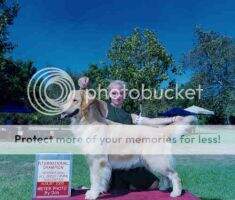 CH. Goldkarma Kentucky Woman CH. Goldkarma Kentucky Woman