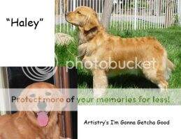 Artistry's I'm Gonna Getcha Good Artistry's I'm Gonna Getcha Good