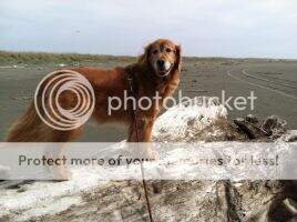 Rocklane's Splish Splash