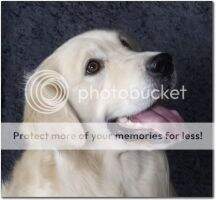 Quapaw's Prestwick