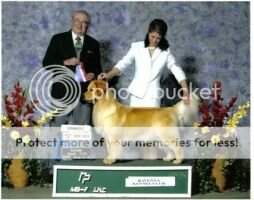 Cloverleaf's Shine Like The Stars