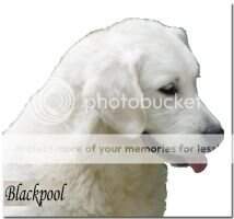 Blackpool's Ajax Blackpool's Ajax