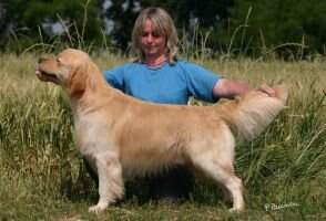 Rip Sel, It Ch Willow Willow