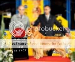 PRC./Arg./Ven./Col./Col.Gr./Br./Equa. CH. Shilo's Hott Machine PRC./Arg./Ven./Col./Col.Gr./Br./Equa. CH. Shilo's Hott Machine