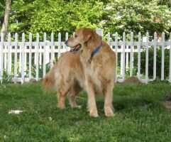 Conewago's Cool Hand Luke