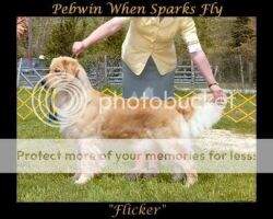 Pebwin When Sparks Fly Pebwin When Sparks Fly