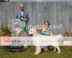 BVSS Remington Rupert Bear