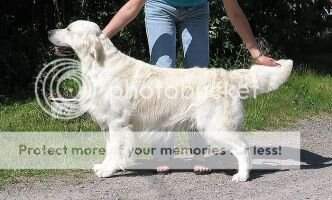 Harbinger Jeanton Harbinger Jeanton