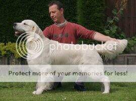WW`06 Dt Nl. & Dt. & Lux & Pl Ch Moondust Masterpiece 2005 & 2006 WW`06 Dt Nl. & Dt. & Lux & Pl Ch Moondust Masterpiece 2005 & 2006