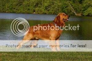 Woodside's Romeo