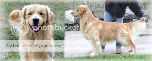 Sunkozi Arcane Don't Look Back Sunkozi Arcane Don't Look Back