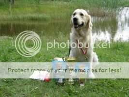 Soulstone Rembrandt Obedience Winner class 1st grade