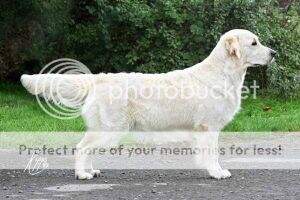 Goldsmill She's A lady