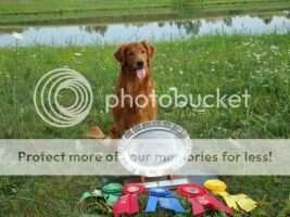 Ambertrail's Life Of Riley *** Ambertrail's Life Of Riley ***