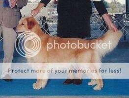 U-CH Ambersand's Theodore Cleaver BN RN CCA