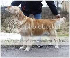 Perfect Beast Biba-B-Looba
