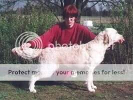 Perfect Beast Full Of Beans