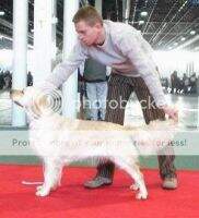 Hu. Derby Winner 04'' Ammy from Mariannehouse