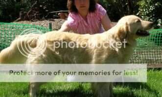 Heppner's Macy