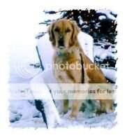 Sunshine Tucker Scout