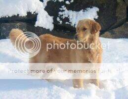 Kiros Maggie May Meyers