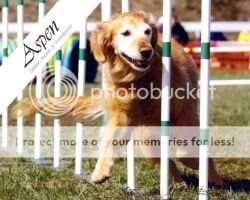 Golden Aspen Of Woodstock JS-N RS-N NAC