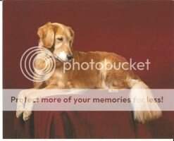 Northstar N'Pioneer Remembers RN CCA